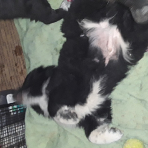 Meet your Posher, Hollaaaaa Hollaaaaa🤙🤙 I'm Tampa - Picture 6 of 16